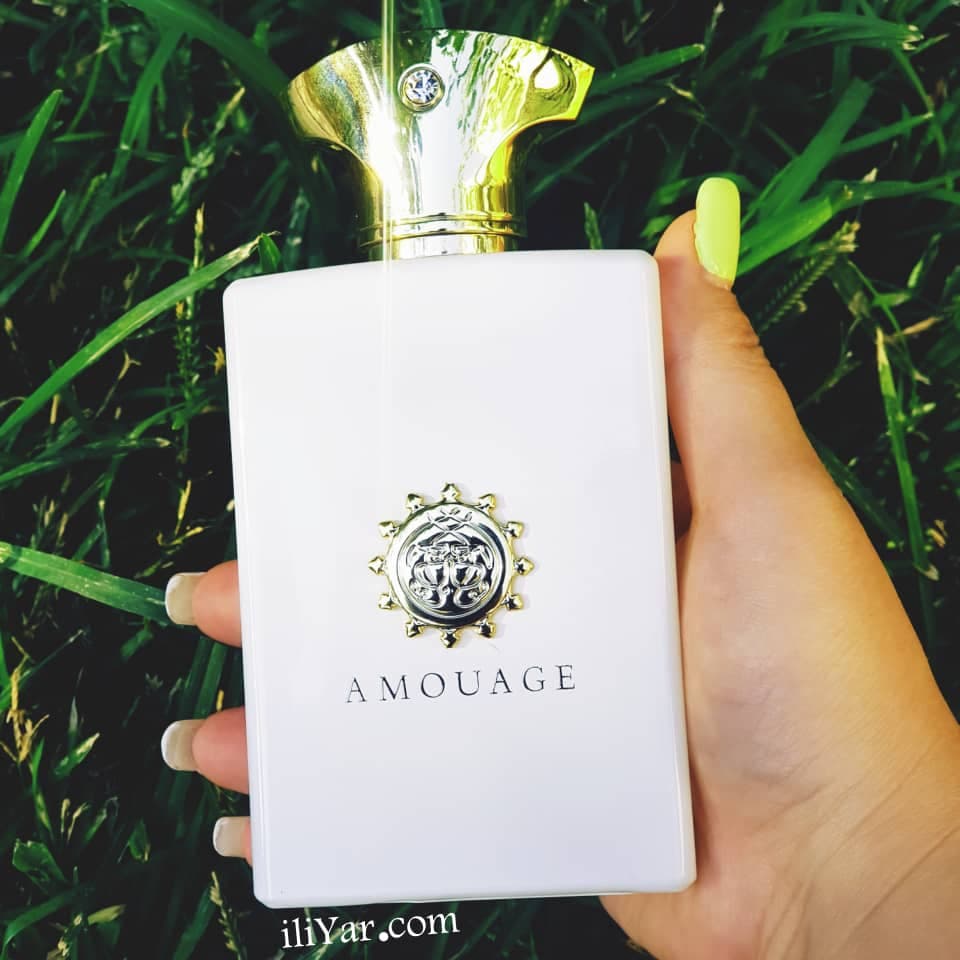ادکلن آمواج هانر مردانه AMOUAGE HONOUR – حجم 100 میل — تصویر ۷