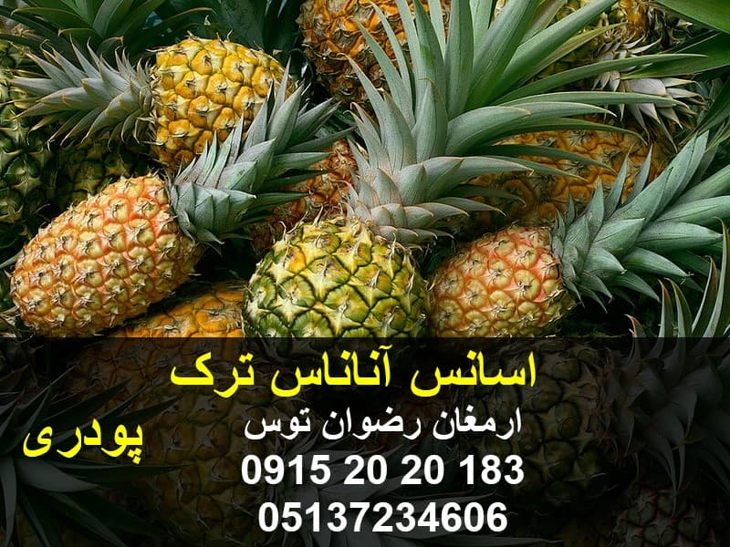 اسانس آناناس ترک — تصویر ۲