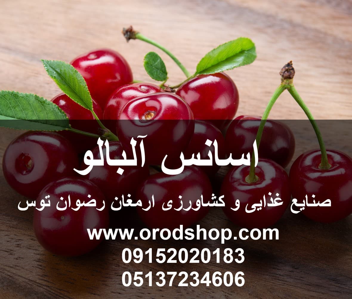 اسانس آلبالو پودری خوراکی
