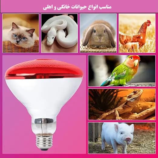 لامپ مادون قرمز 250 وات لاکی هرپ مدل INFRARED-220V-250W-E27 — تصویر ۴