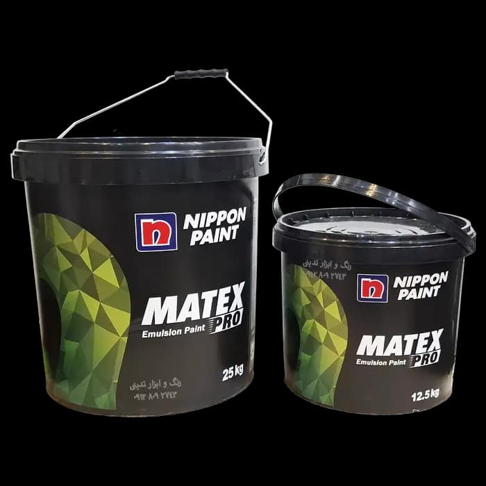 رنگ نیم پلاستیک ماتکس نیپون کد 6700 (جدید – Pro)