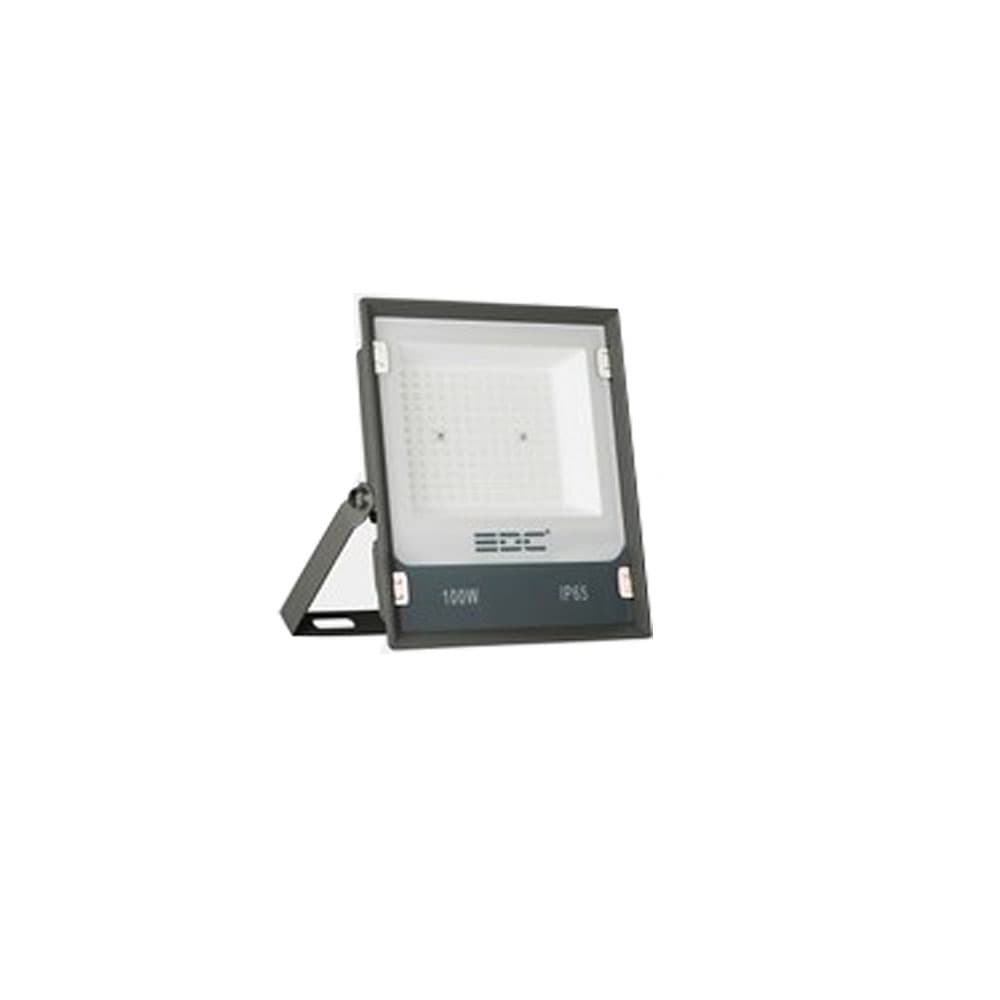پرژکتور 100 وات اکو پلاس مهتابی EDC-SMD