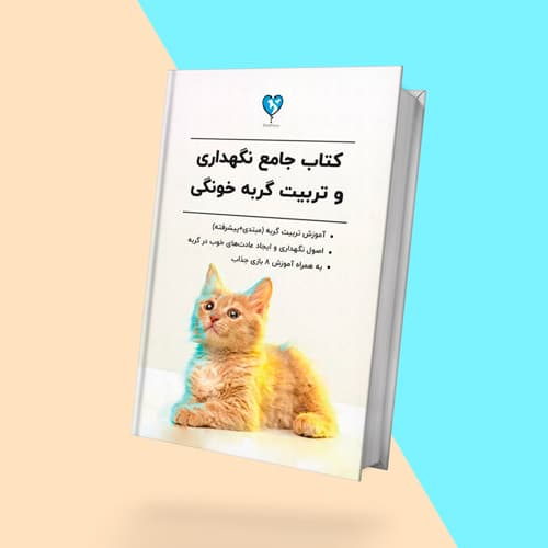 راهنمای کامل نگهداری، آموزش و تربیت گربه به صورت عملی