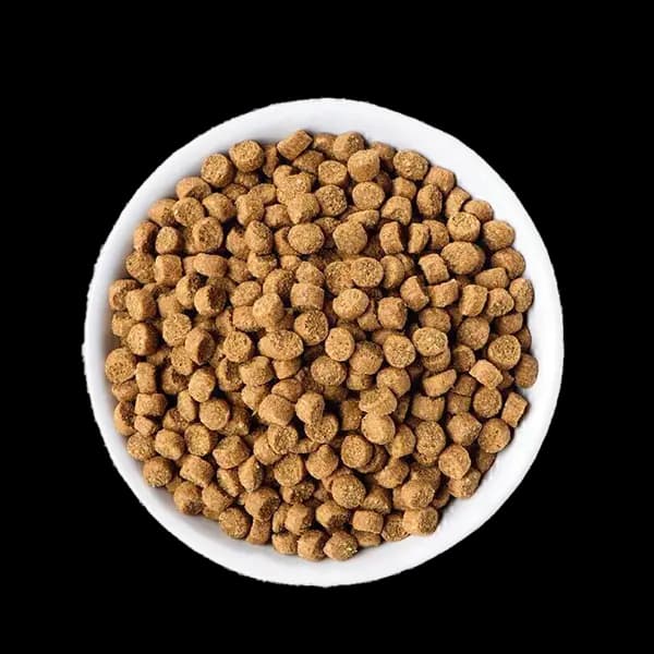 غذای خشک بچه گربه رفلکس پلاس با طعم سالمون Reflex Plus Kitten Food وزن 1.5 کیلوگرم — تصویر ۲