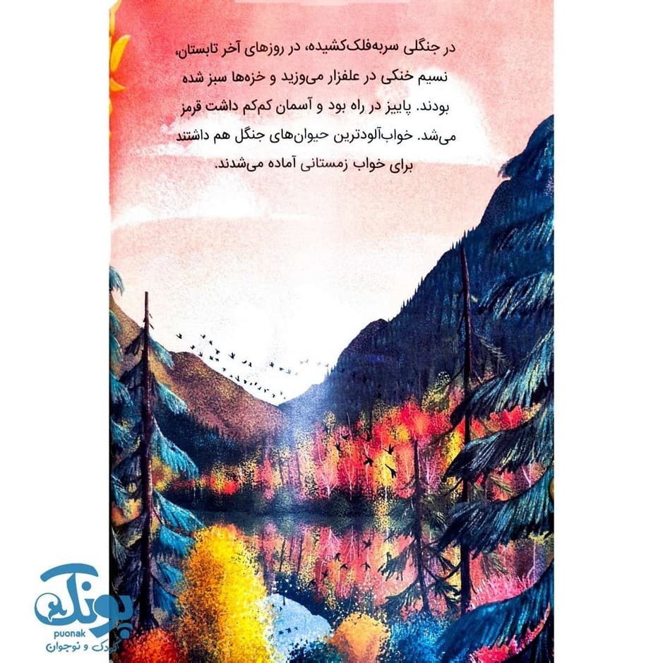 کتاب سنجاب ها وارد می شوند — تصویر ۳