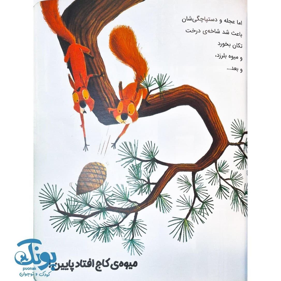 کتاب سنجاب ها وارد می شوند — تصویر ۵
