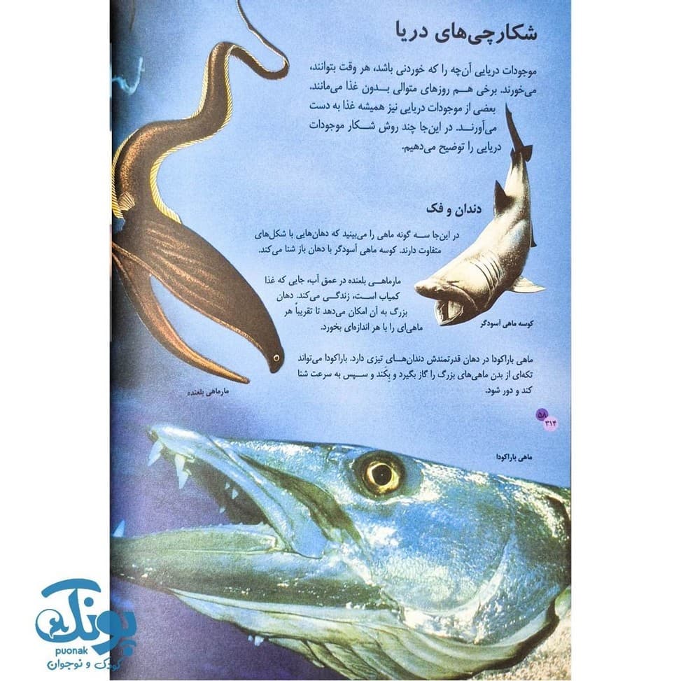 کتاب نخستین دایره المعارف جانوران — تصویر ۶