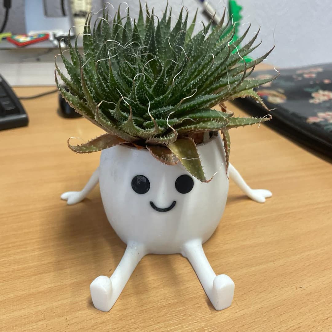 گلدان فانتزی Happy Pot — تصویر ۲