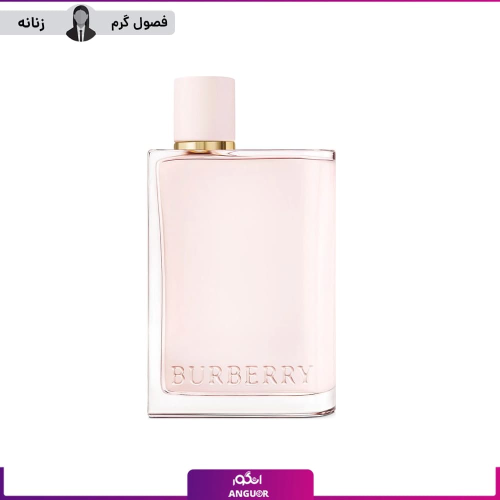 عطر ادکلن باربری هر ادوپرفیوم زنانه 100 میل | Burberry Her Eau de Parfum — تصویر ۳