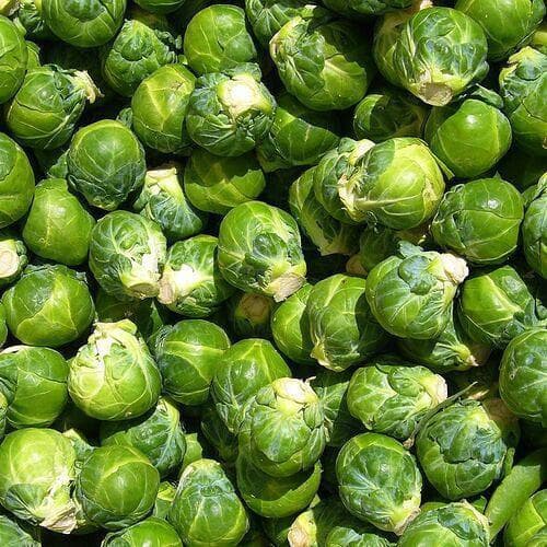بذر کلم بروکسل پاکوتاه هیبرید بسته 30 عددی