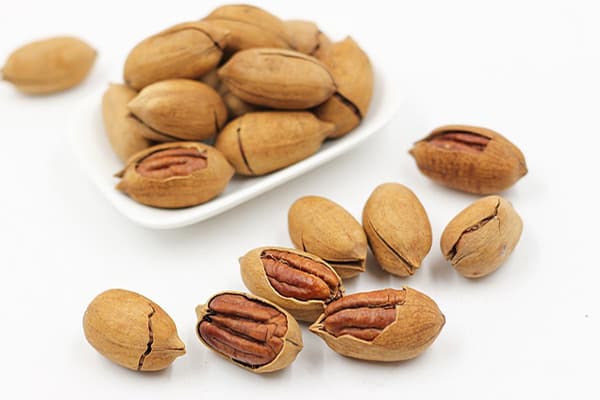 بذر گردو پکان آمریکایی بسته 5 عددی — تصویر ۲