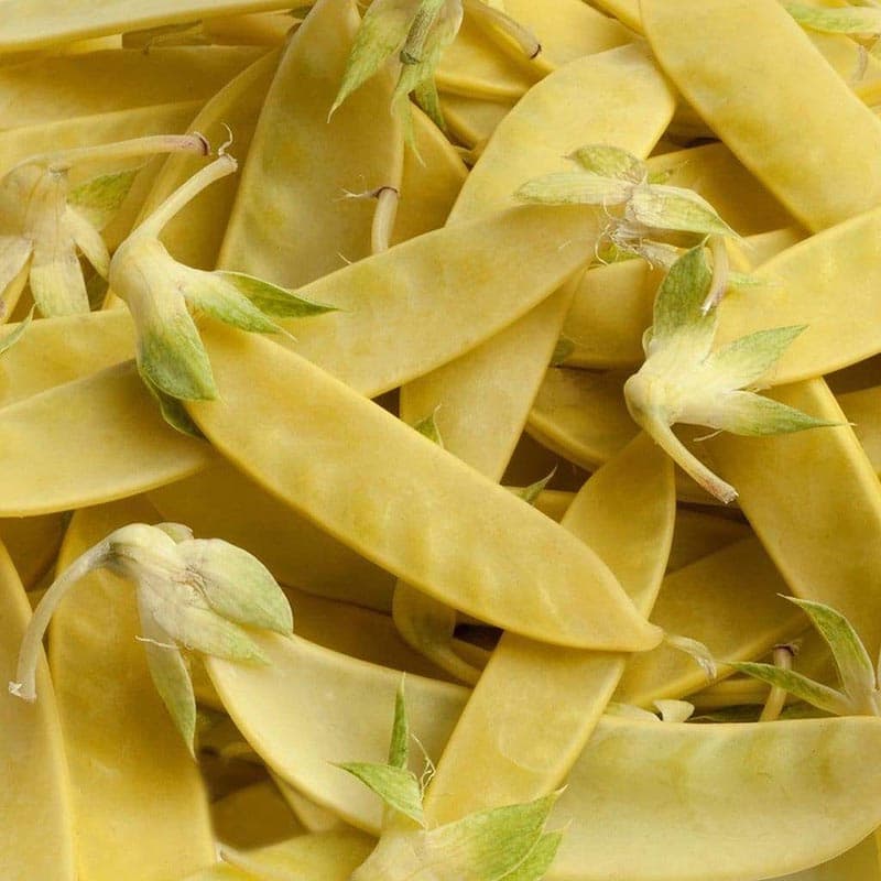 بذر نخود فرنگی طلایی Golden Sweet آمریکایی بسته 10 عددی