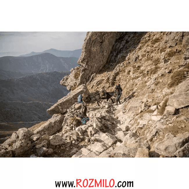 کوله چند منظوره 40-60 لیتری FORCLAZ — تصویر ۷