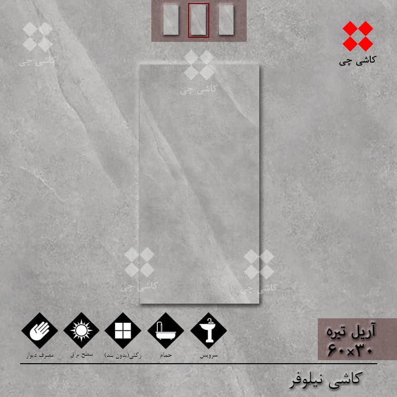 آریل طوسی تیره 30×60 براق درجه 2 — تصویر ۳