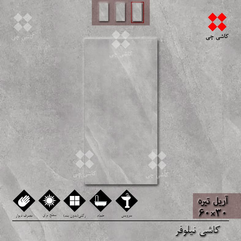 آریل طوسی تیره 30×60 براق درجه 2 — تصویر ۴