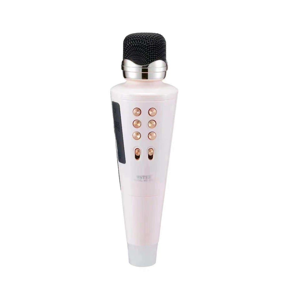 میکروفون اسپیکردار مدل WSTER WS-2711 — تصویر ۴