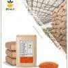 عدس دال رنگی فله — تصویر ۴
