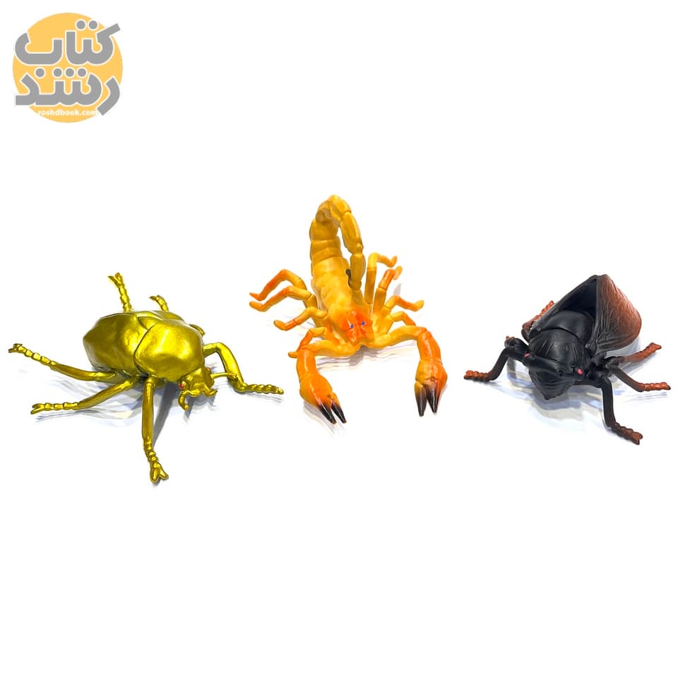 اسباب بازی باغ وحش حشرات 10 عددی (متوسط) — تصویر ۵