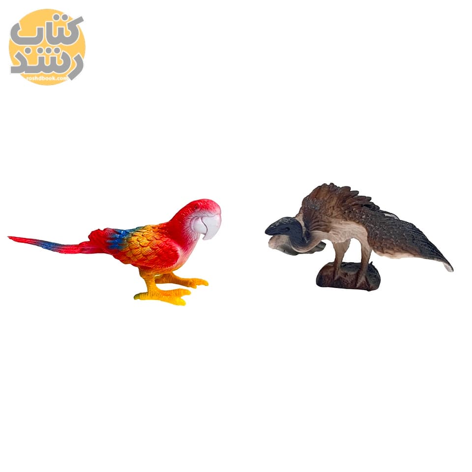 اسباب بازی باغ وحش پرندگان 10 عددی (متوسط) — تصویر ۲