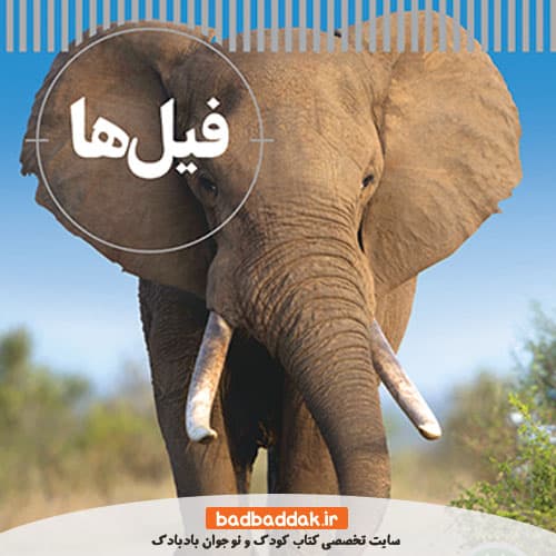 مجموعه کتاب شاهد عینی