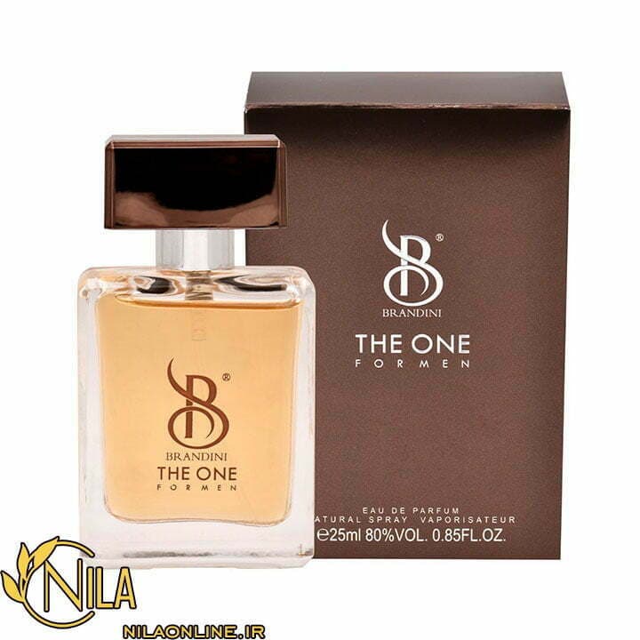 عطر ادکلن دِ وان مردانه The One برندینی