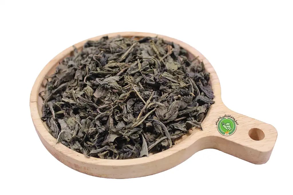 چای سبز بهاره لاهیجان
