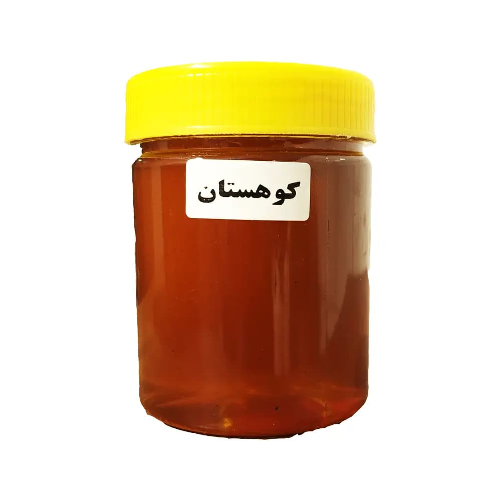 عسل گیاهی کوهستان 500 گرم