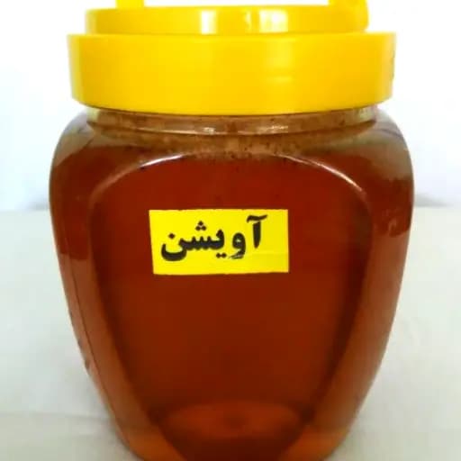 عسل آویشن طبیعی با ظرف نیم کیلویی