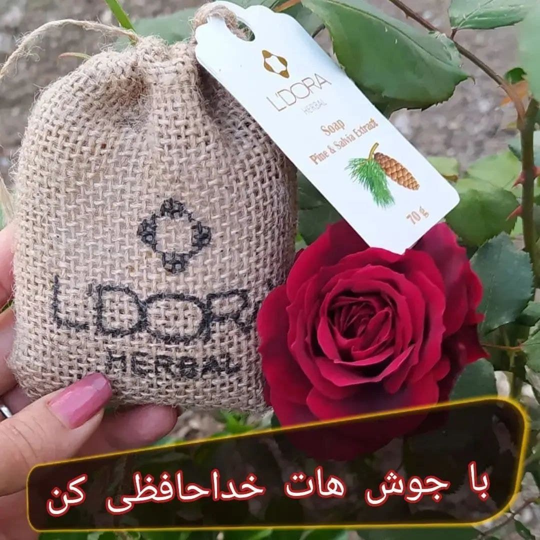 صابون گیاهی عصاره کاج و عصاره مریم گلی لدورا هربال 70 گرمی — تصویر ۳