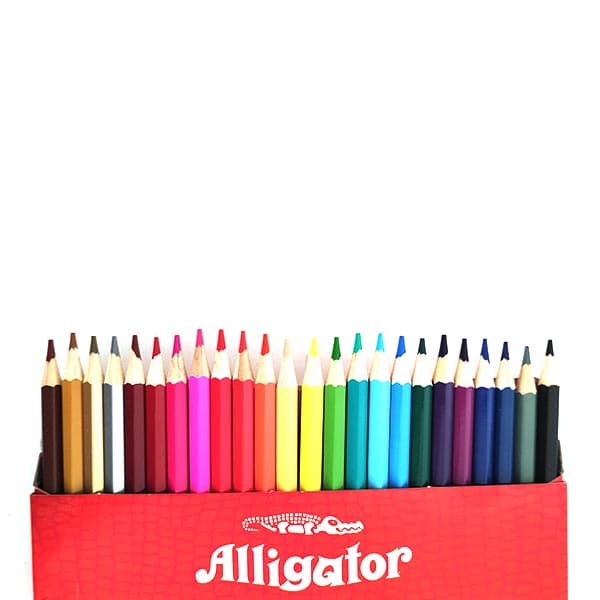 مداد رنگی 24 تایی مقوایی سوسماری aligator — تصویر ۲