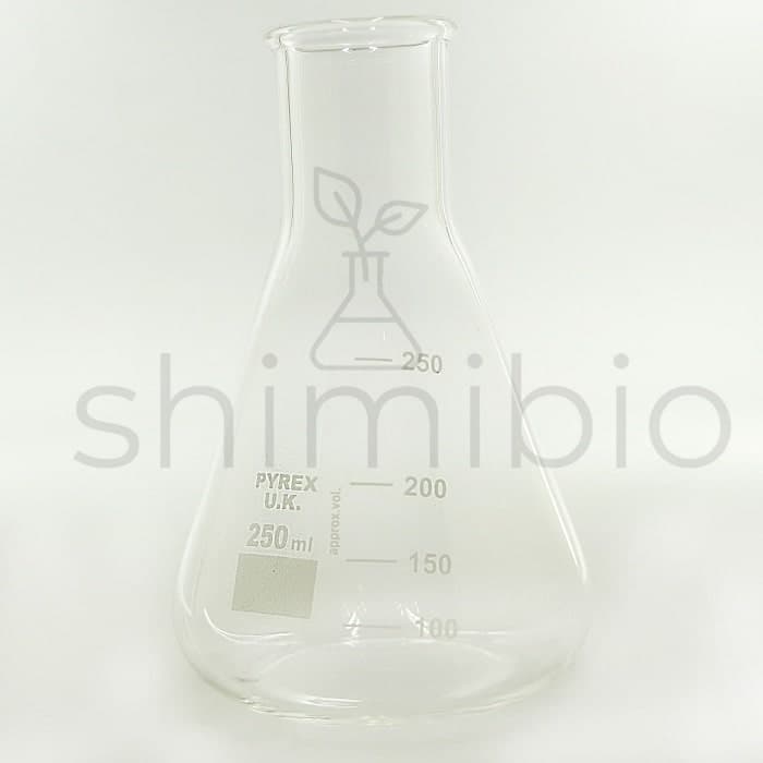 ارلن مایر Pyrex UK