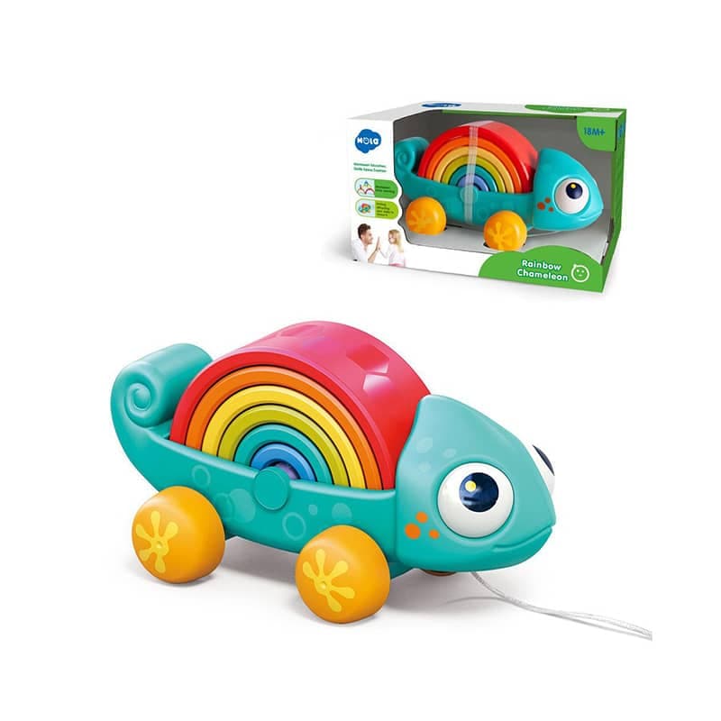پازل آفتاب پرست رنگین کمانی هولی تویز Hola Toys