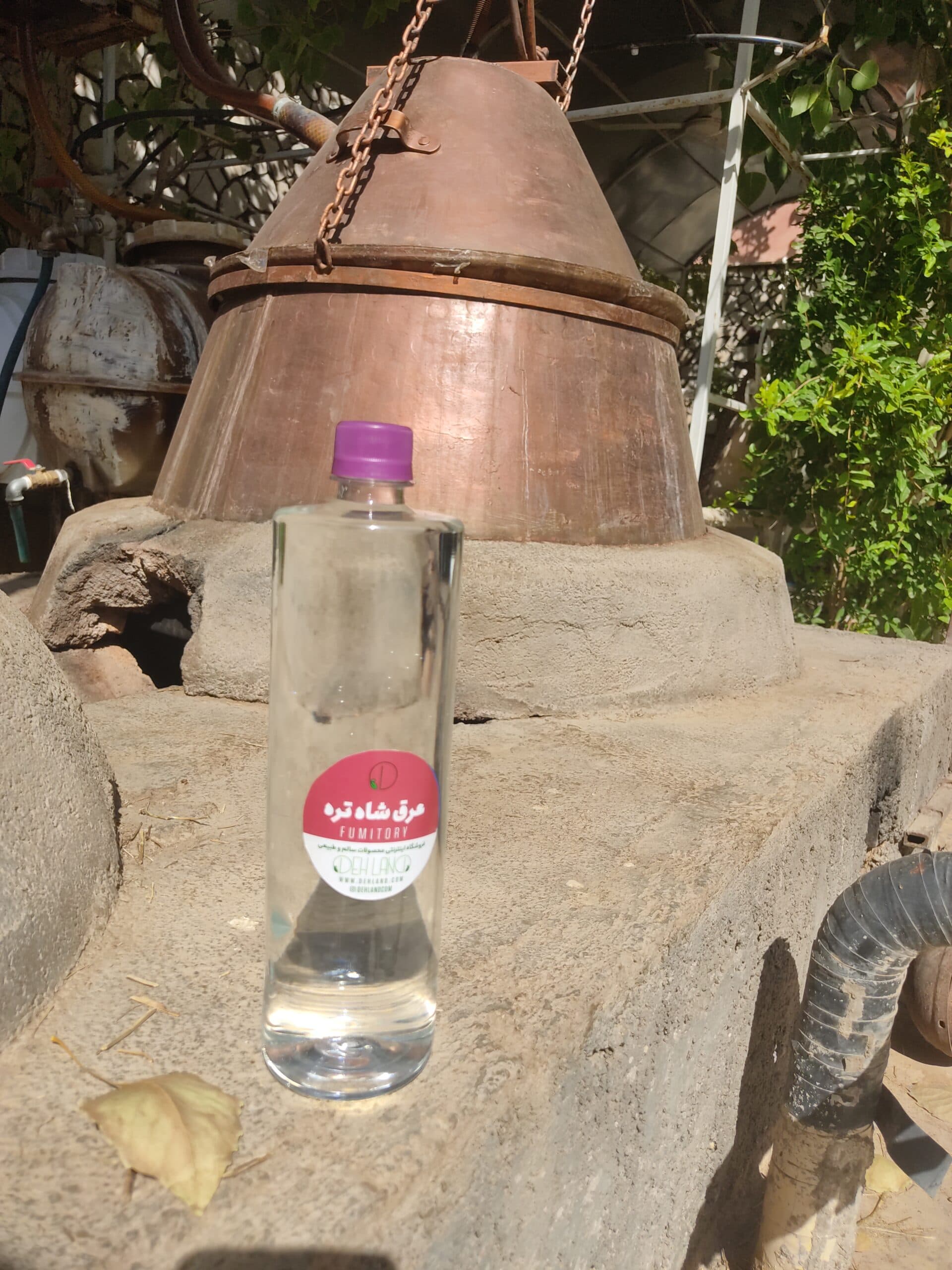 عرق شاه تره اعلاء — تصویر ۳