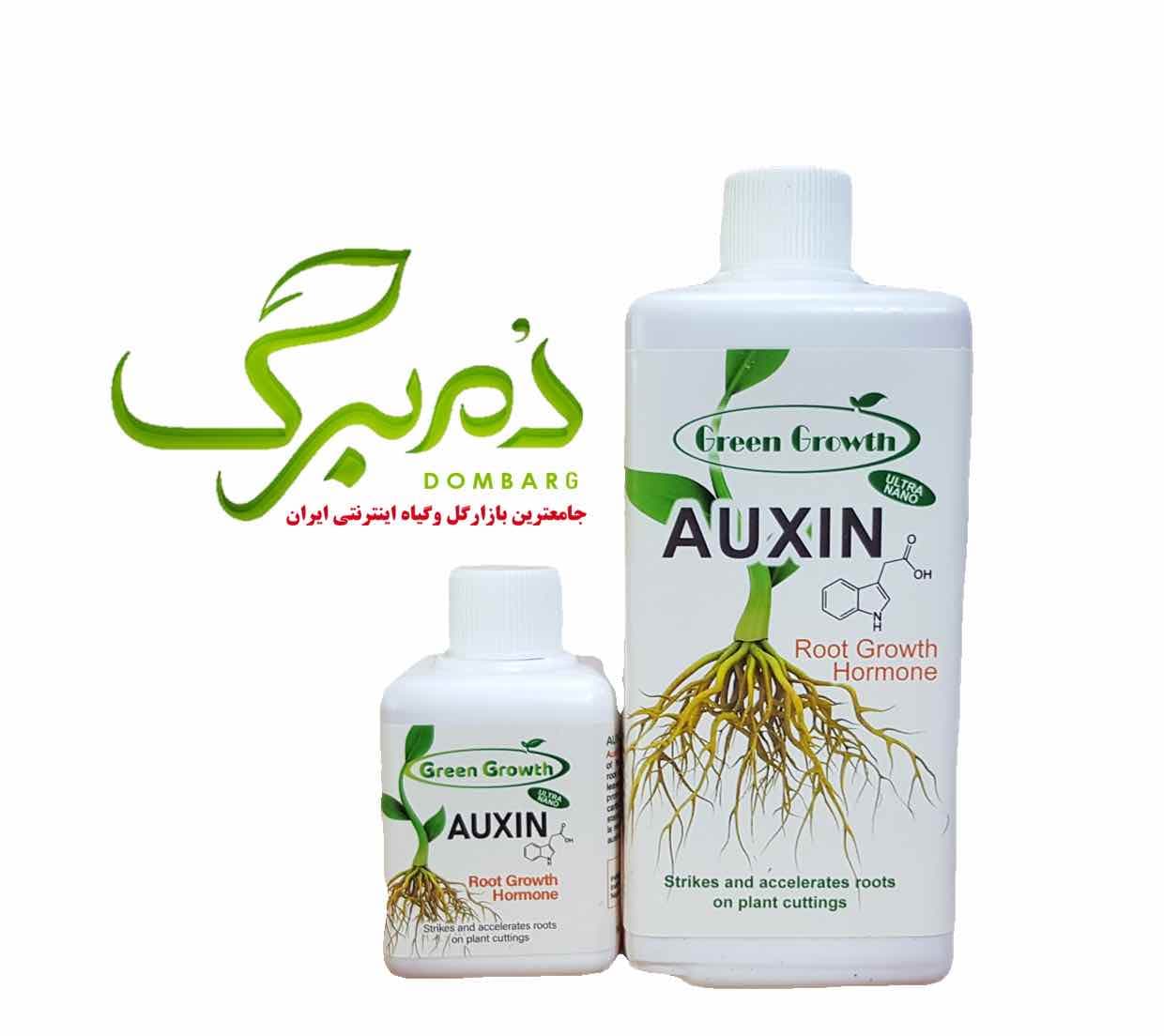 هورمون اکسین