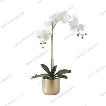 گل ارکیده تک شاخه ORK06