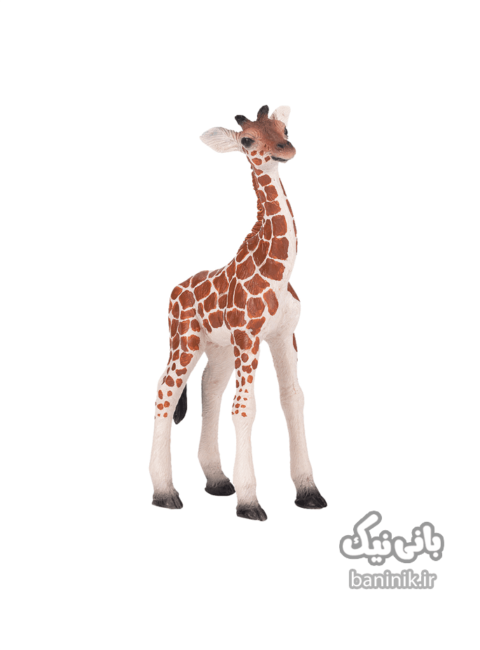 فیگور موجو سری بچه زرافه Mojo Giraffe Calf Figure — تصویر ۵
