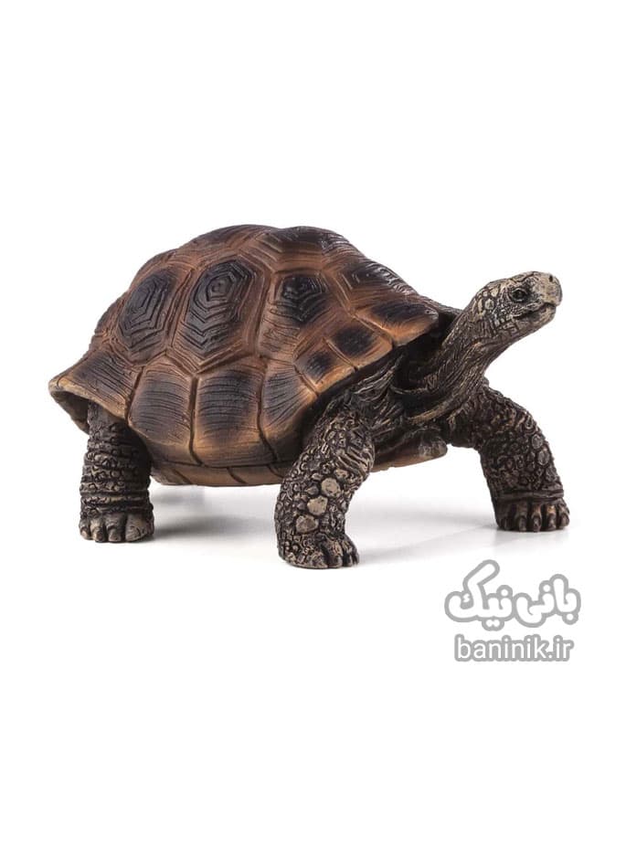 فیگور موجو سری لاک پشت Mojo Giant Tortoise Figure
