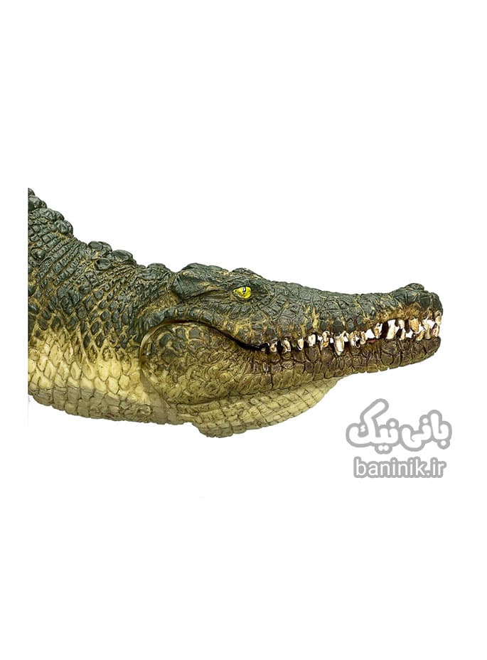 فیگور موجو سری کروکدیل با فک متحرک Mojo Crocodile with Articulated Jaw Figure — تصویر ۳