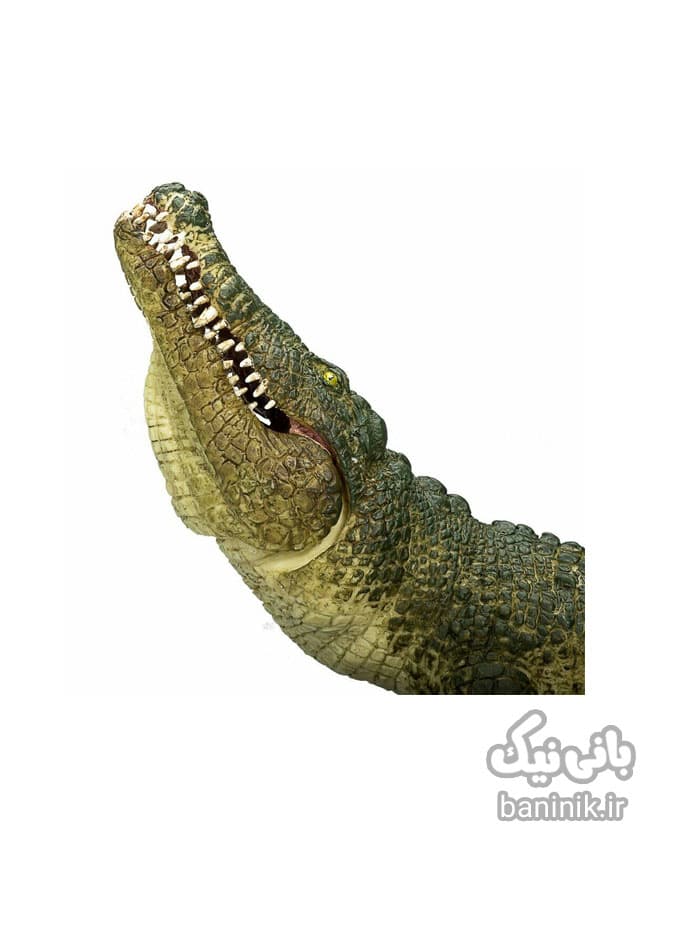فیگور موجو سری کروکدیل با فک متحرک Mojo Crocodile with Articulated Jaw Figure — تصویر ۴