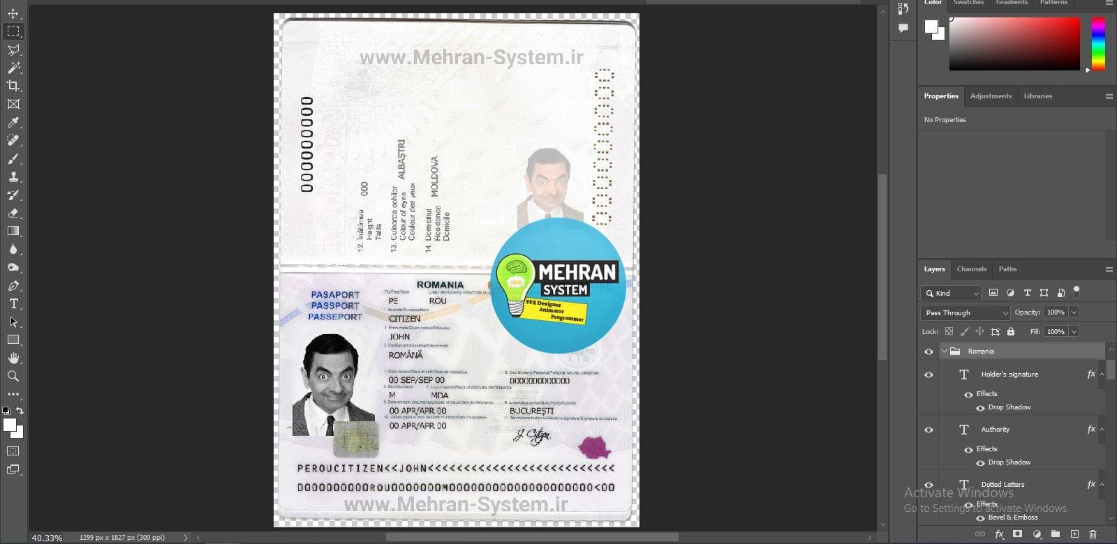 فایل لایه باز پاسپورت رومانی — تصویر ۲