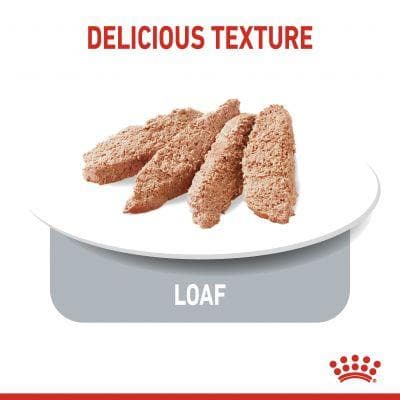 پوچ لایت ویت سگ رویال کنین – pouch light weight care dog 85g — تصویر ۵