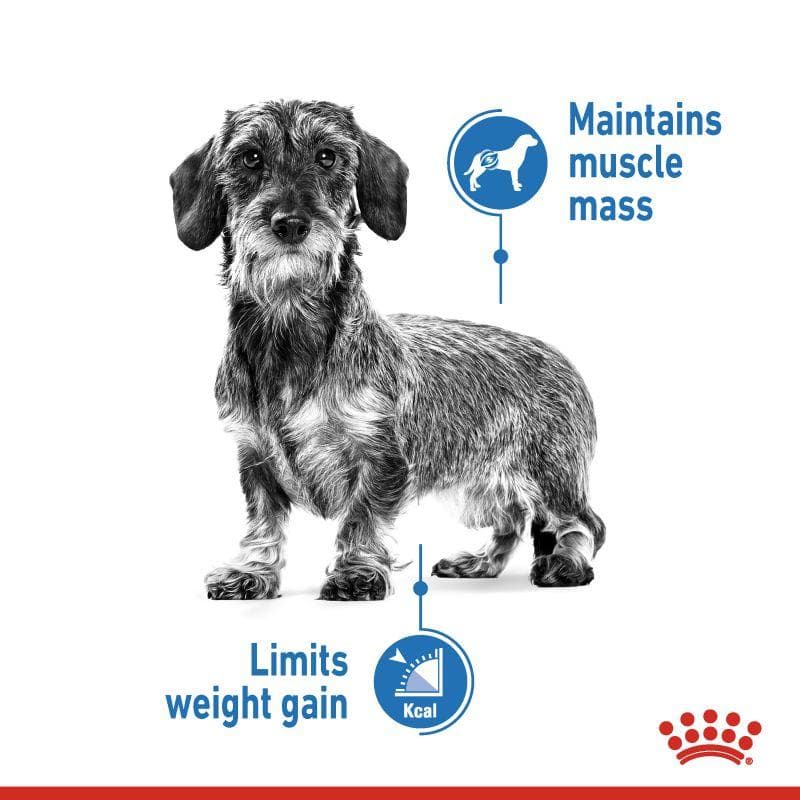 پوچ لایت ویت سگ رویال کنین – pouch light weight care dog 85g — تصویر ۴