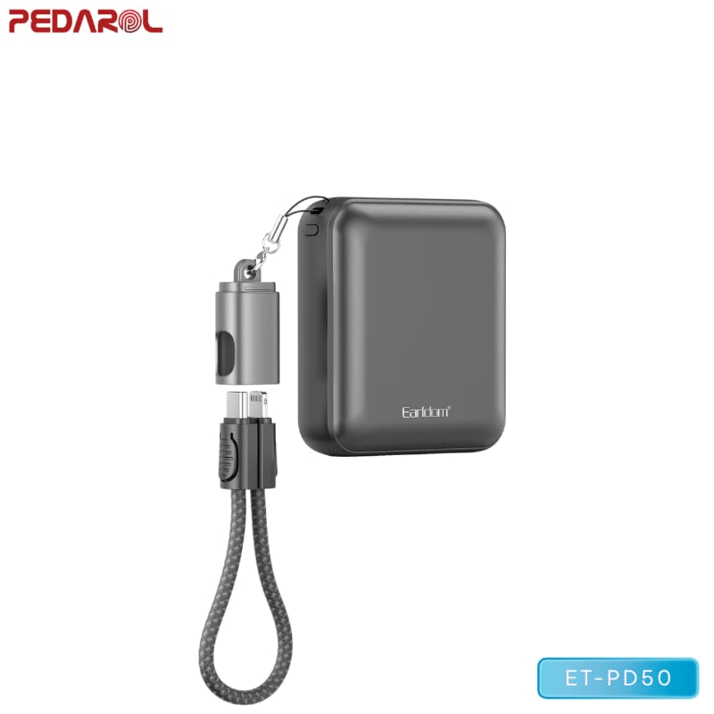پاوربانک 10000 میلی آمپر ارلدام مدل ET-PD50