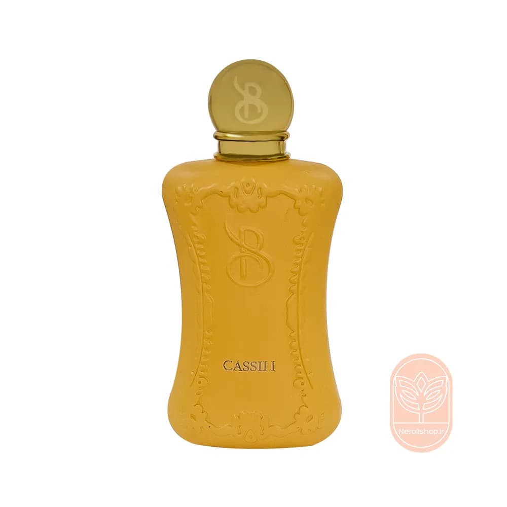 عطر مارلی کاسیلی برندینی | Brandini Casili — تصویر ۲