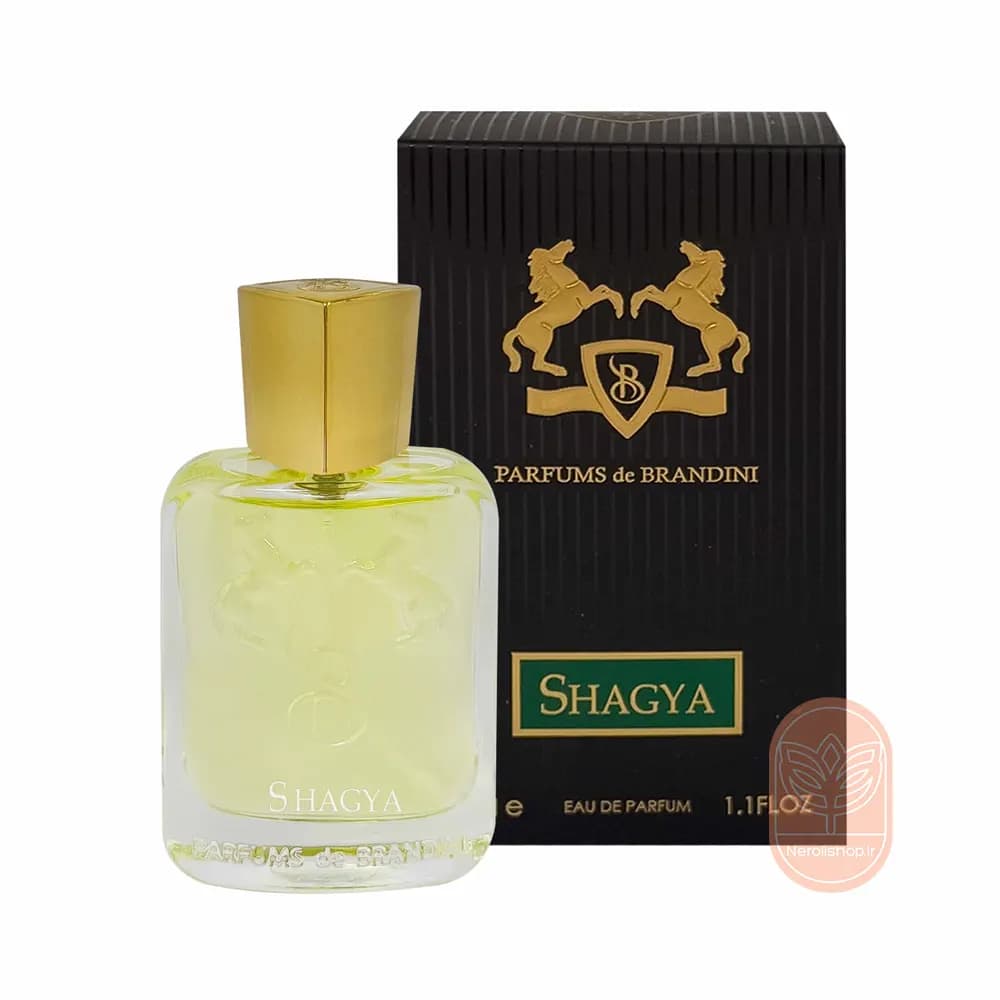 عطر ادکلن شاگیا برندینی | Brandini Shagya