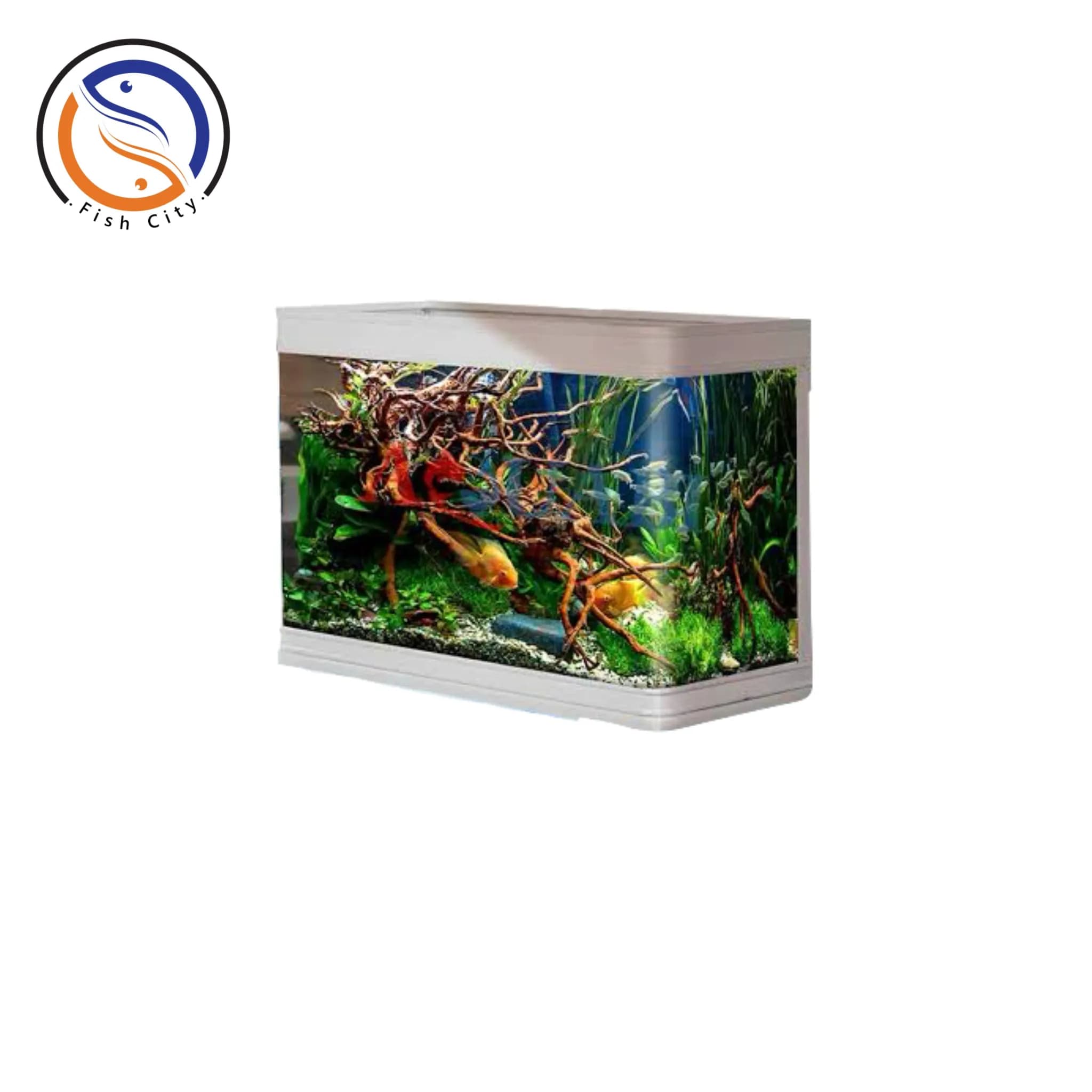 اکواریوم شیشه خم 100-38-59 سانت دلسا قابدار رنگ سفید مدل GL-1000