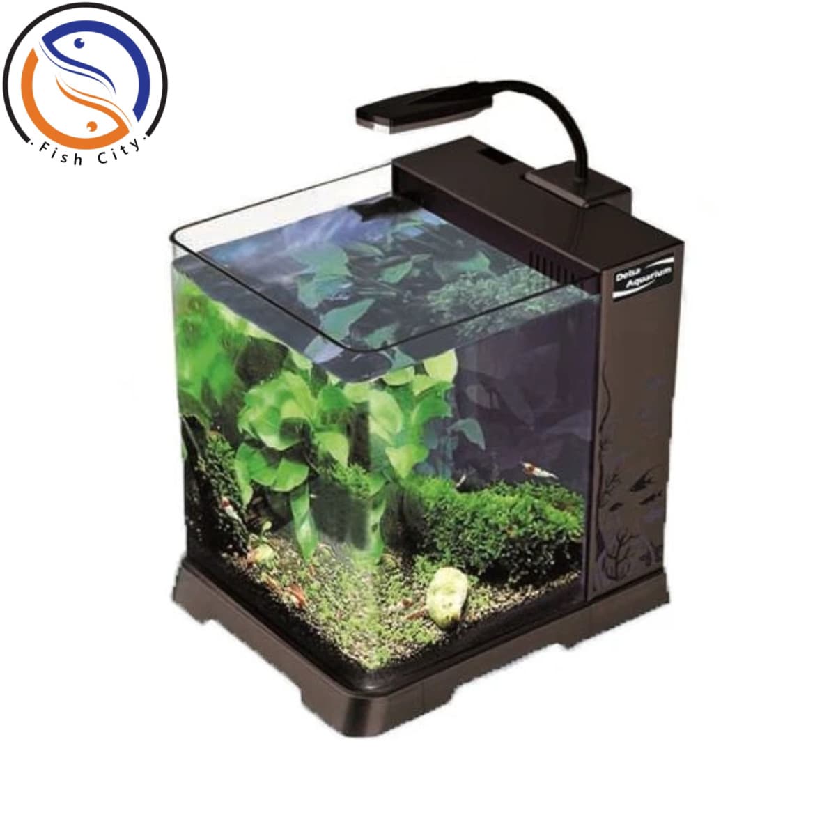 اکواریوم مشکی دلسا B101