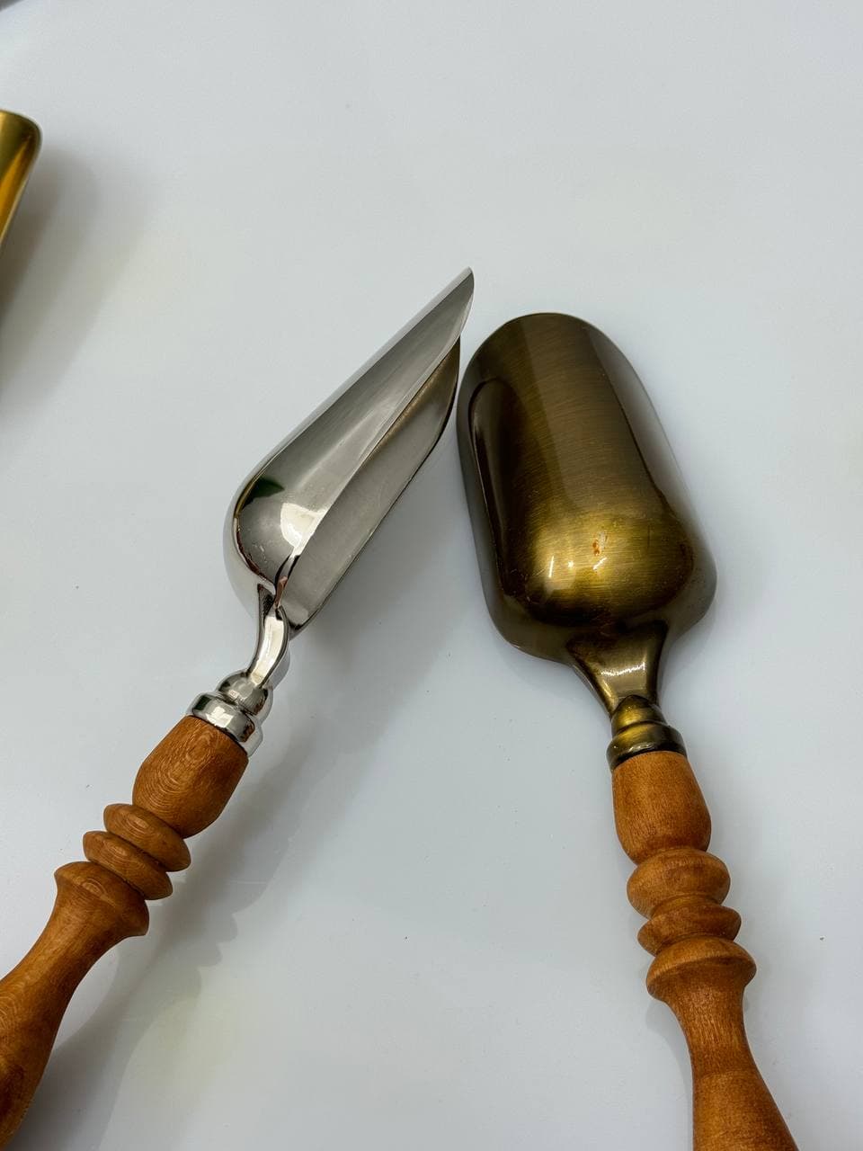 قاشق اجیل بزرگ و متوسط — تصویر ۳