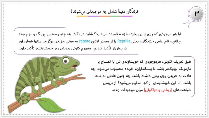پاورپوینت خزندگان همیشه نمی خزند | دارودسته های حیات (24489) — تصویر ۳