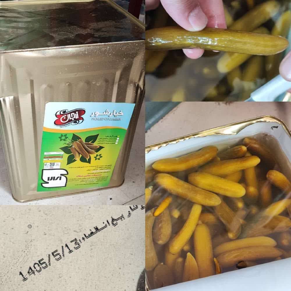 خیارشور ممتاز حلب زرجان